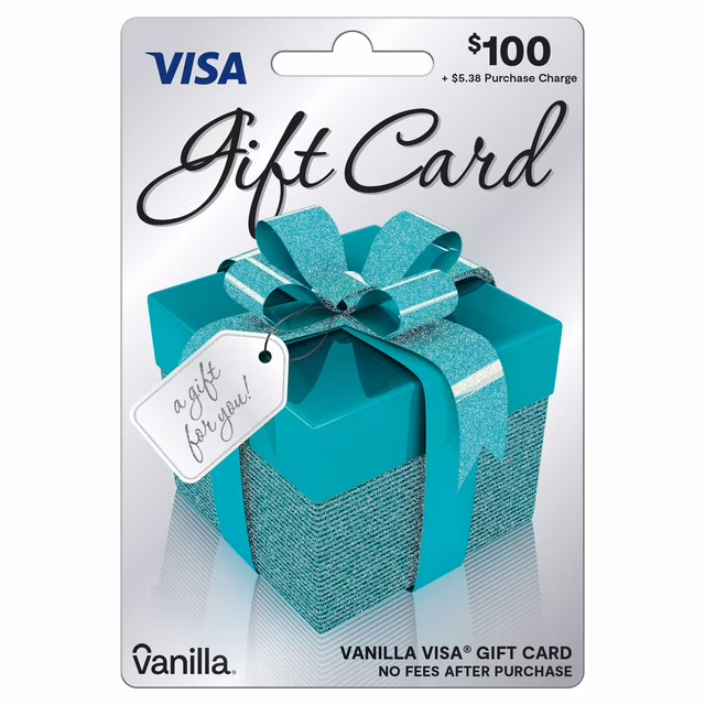 $100 Visa gift card